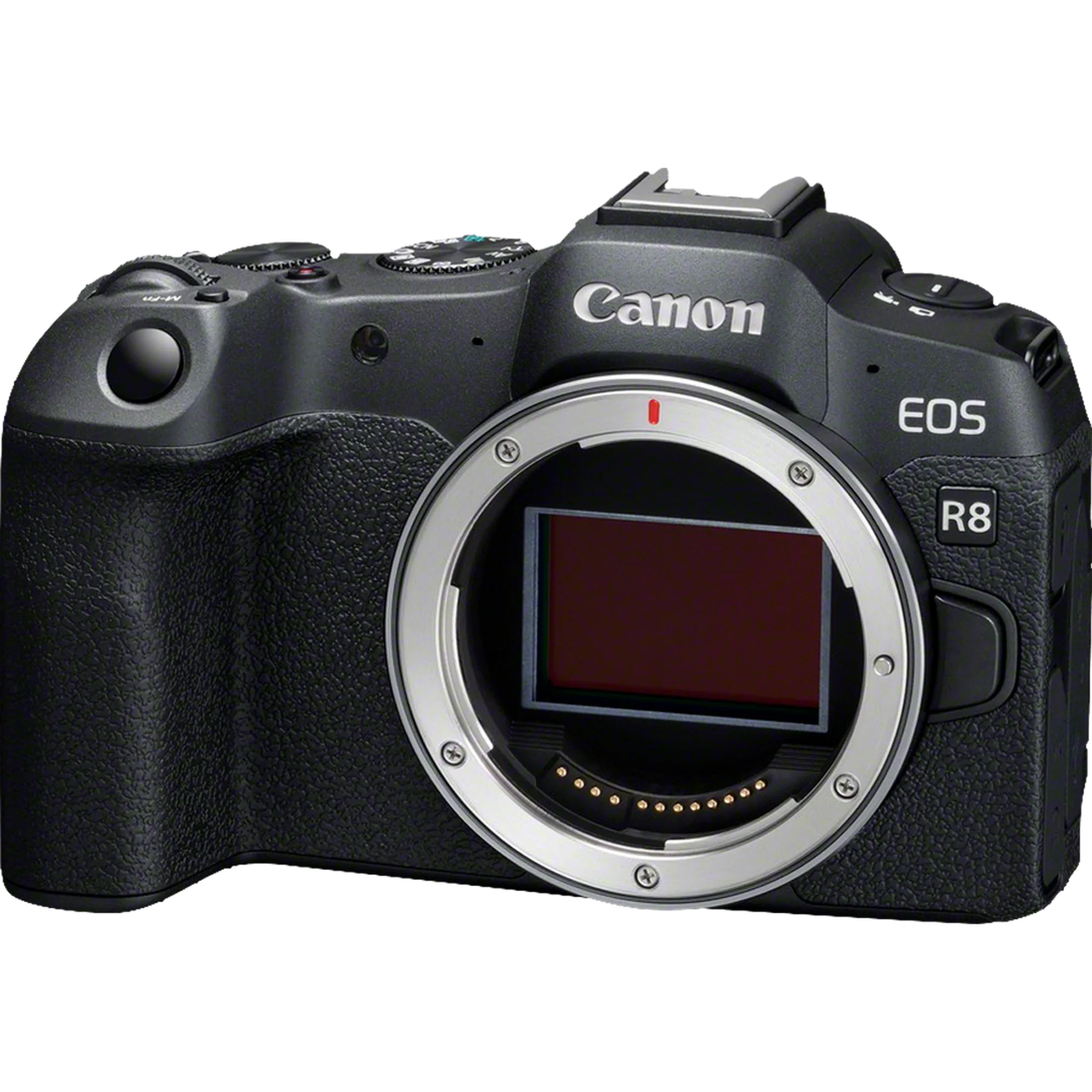 מצלמה דיגיטלית ללא מראה גוף בלבד Canon EOS R8 - צבע שחור שלוש שנות אחריות ע"י היבואן הרשמי בהוראת קבע